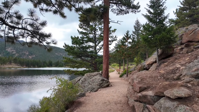 A peaceful dirt trail along Lily Lake surrounded by pine trees in Rocky Mountain National Park