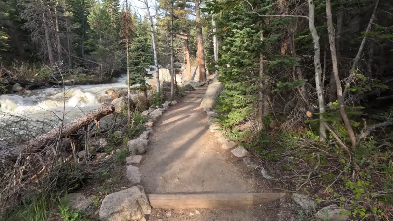 A quiet forest trail along a rushing stream in Rocky Mountain National Park