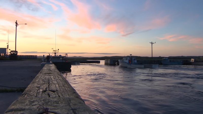 Fishing boats docked at a Nova Scotia harbor during sunset, reflecting the cold waters that shape lobster quality